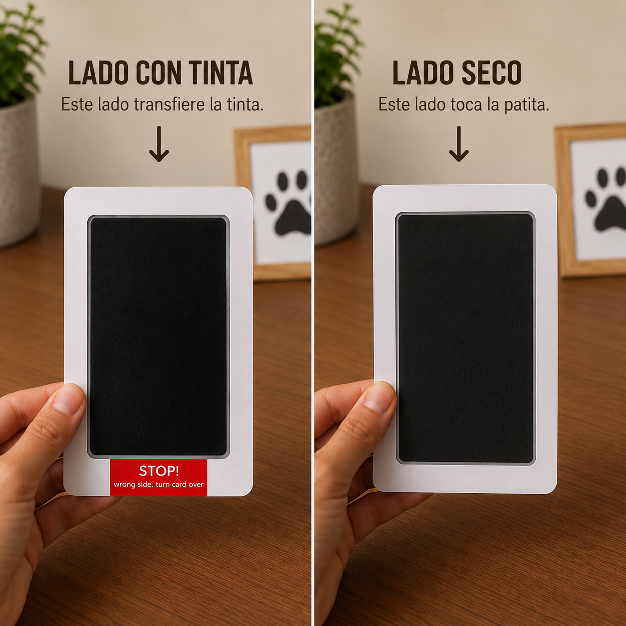 Kit para Huella de Perro – Recuerdo Personalizable